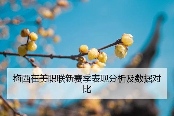mei-xi-zai-mei-zhi-lian-xin-sai-ji-biao-xian-fen-xi-ji-shu-ju-dui-bi-2-437.jpg