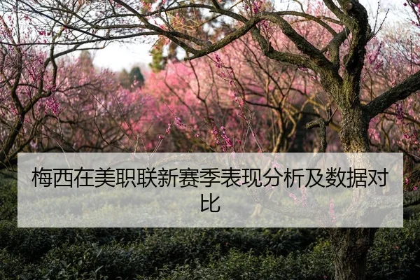梅西在美职联新赛季表现分析及数据对比